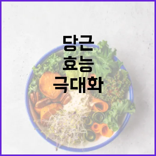 당근의 효능을 극대화하는 방법 - 요약