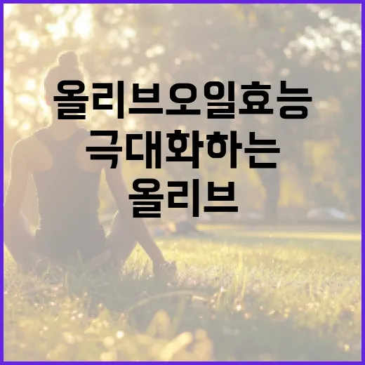 올리브오일 효능을 극대화하는 방법 - 요약