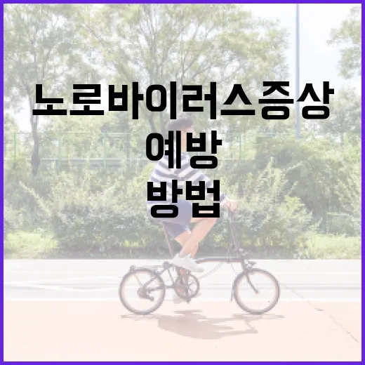 노로바이러스 증상을 알아보고 예방하는 방법 - 요약