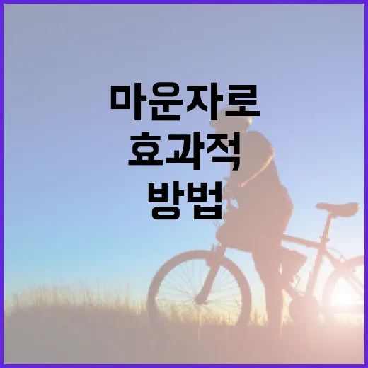 마운자로 효과적으로 사용하는 방법 - 요약