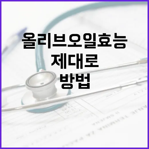 올리브오일 효능을 제대로 활용하는 방법 - 요약