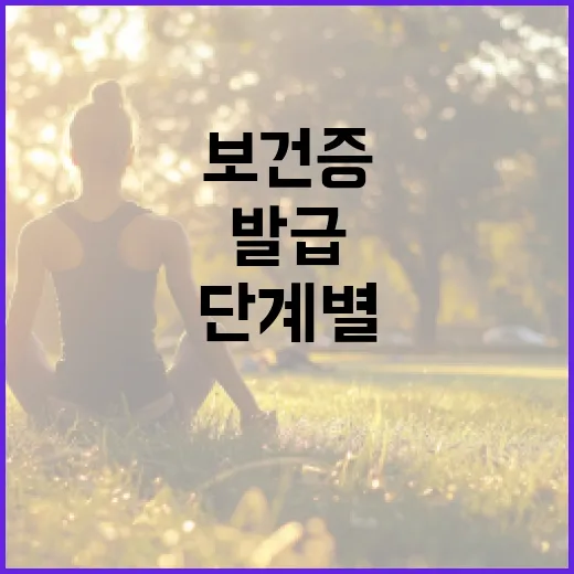보건증 발급을 위한 단계별 가이드 - 요약