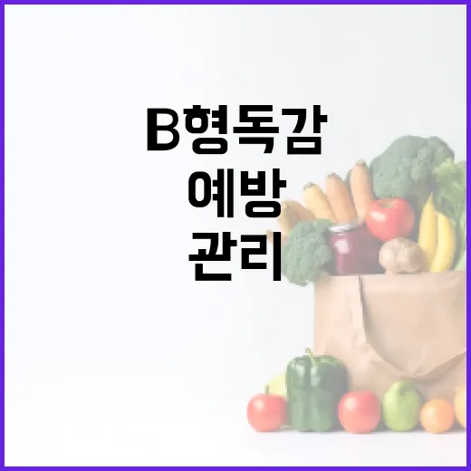 B형 독감을 예방하고 관리하는 방법 - 요약