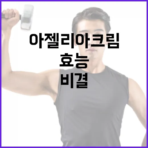 아젤리아크림의 효능과 사용 방법: 피부 건강을 지키는 비결 - 요약