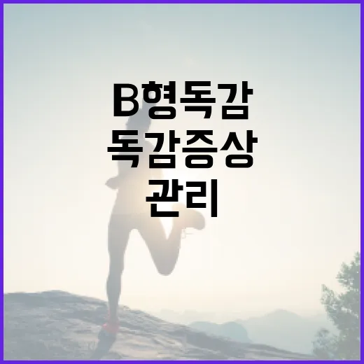 B형 독감 증상을 이해하고 관리하는 방법 - 요약