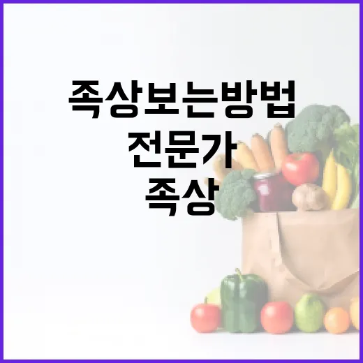 족상 보는 방법: 전문가가 알려주는 건강 관리 팁 - 요약