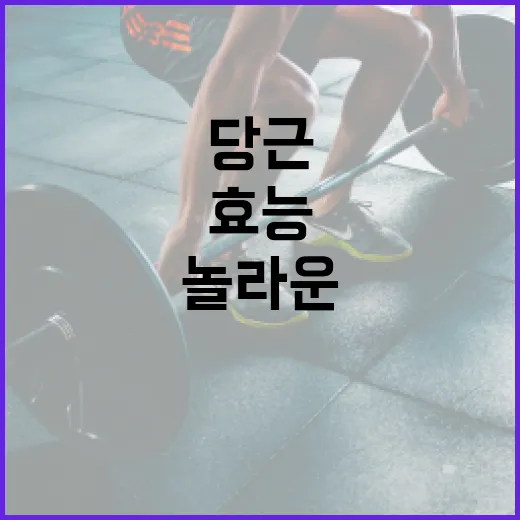 당근의 놀라운 효능을 최대한 활용하는 방법 - 요약