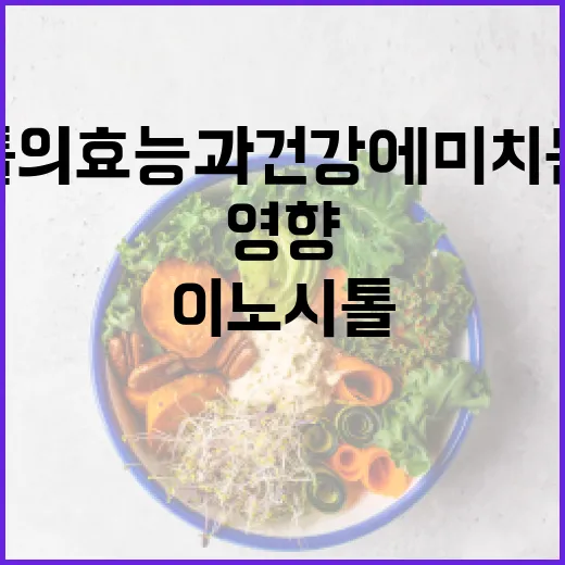 이노시톨의 효능과 건강에 미치는 긍정적 영향 - 요약