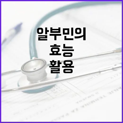 알부민의 효능을 최대한 활용하는 방법 - 요약