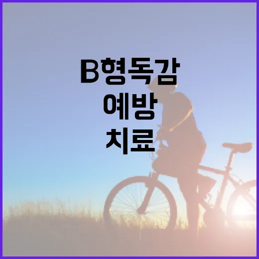 B형 독감을 예방하고 치료하는 방법 - 요약