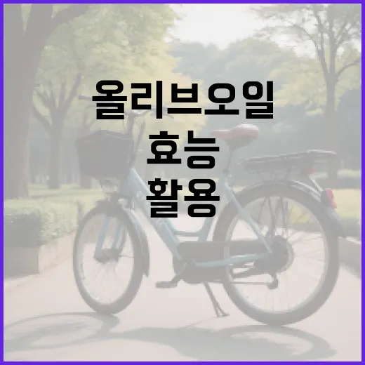 올리브오일 효능을 최대한 활용하는 방법 - 요약
