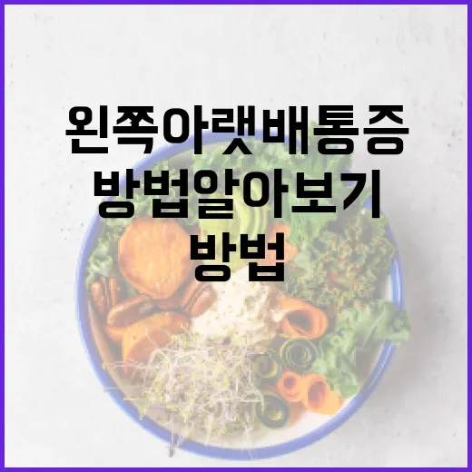 왼쪽 아랫배 통증을 완화하는 방법 알아보기 - 요약