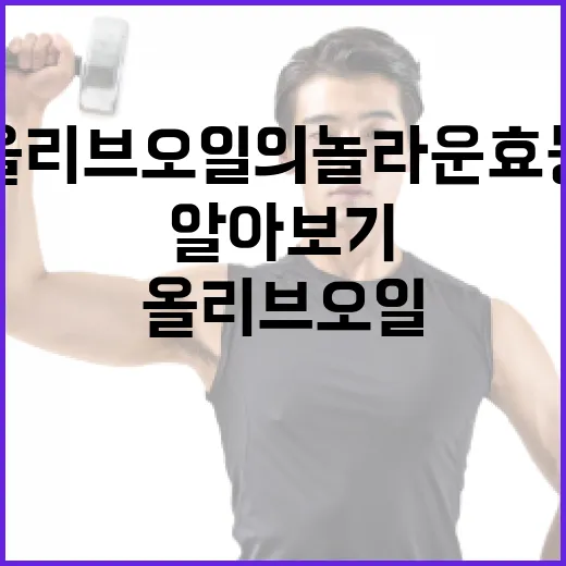 올리브오일의 놀라운 효능 알아보기 - 요약