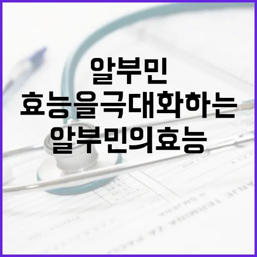 알부민의 효능을 극대화하는 방법 - 요약