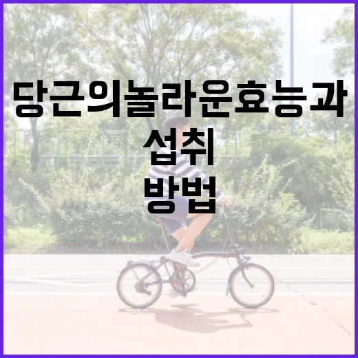 당근의 놀라운 효능과 건강하게 섭취하는 방법 - 요약