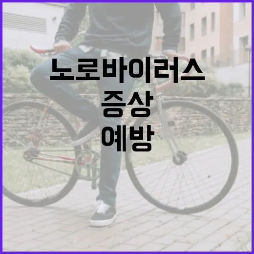 노로바이러스 증상을 이해하고 예방하는 방법 - 요약