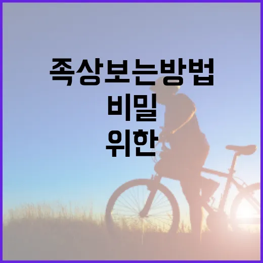족상 보는 방법: 건강을 위한 발의 비밀 알아보기 - 요약