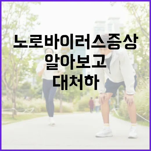 노로바이러스 증상을 알아보고 대처하는 방법 - 요약