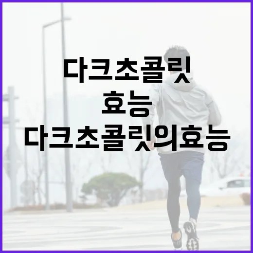 다크초콜릿의 효능을 극대화하는 방법 - 요약