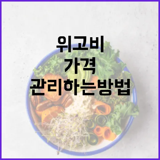 위고비 가격을 이해하고 효율적으로 관리하는 방법 - 요약