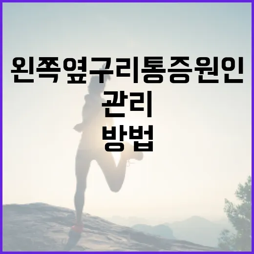 왼쪽 옆구리 통증 원인과 관리 방법 - 요약