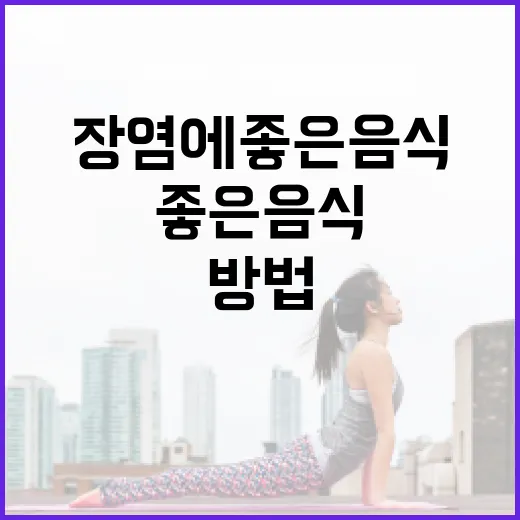 장염에 좋은 음식을 선택하는 방법 - 요약