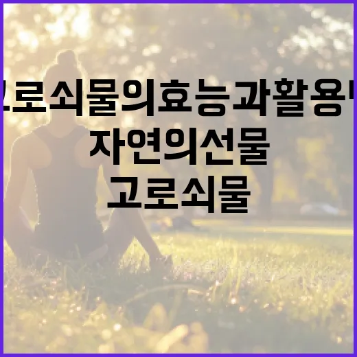 고로쇠물의 효능과 활용법: 건강을 위한 자연의 선물 - 요약