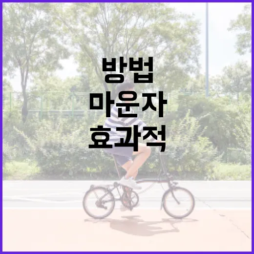 마운자를 효과적으로 사용하는 방법 - 요약