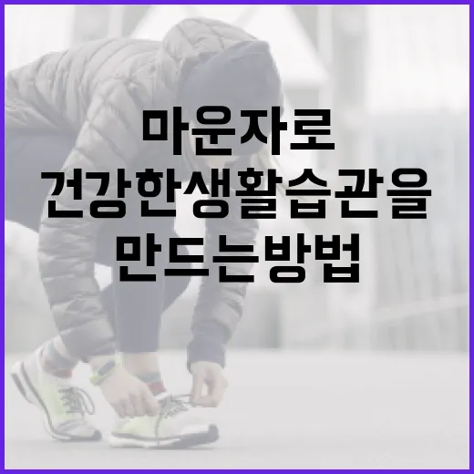 마운자로를 활용하여 건강한 생활 습관을 만드는 방법 - 요약