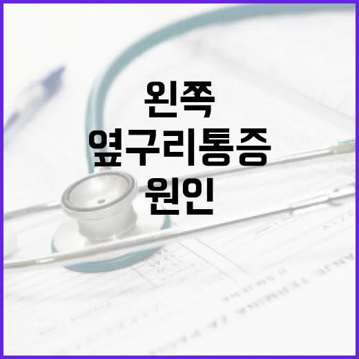 왼쪽 옆구리 통증 완화 방법: 원인 파악부터 치료까지 - 요약
