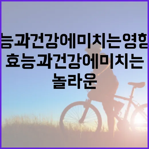 당근의 놀라운 효능과 건강에 미치는 영향 알아보기 - 요약