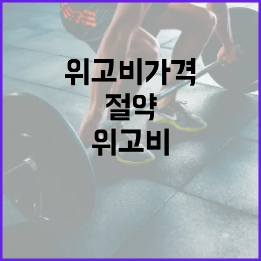 위고비 가격을 절약하는 방법 - 요약