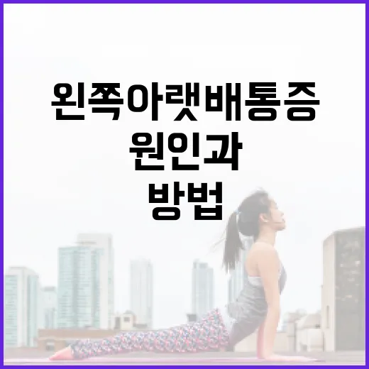 왼쪽 아랫배 통증 완화 방법: 원인과 해결책 - 요약