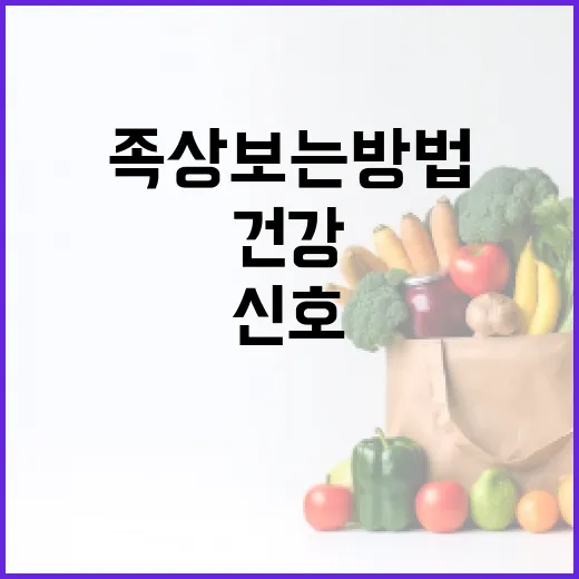 족상 보는 방법: 건강을 위한 발의 신호 해석법 - 요약