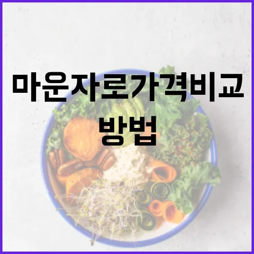 마운자로 가격비교 및 선택 방법 - 요약