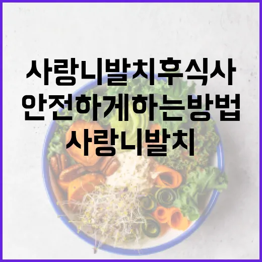 사랑니 발치 후 식사를 안전하게 하는 방법 - 요약