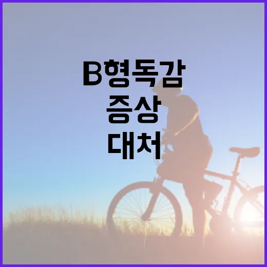 B형 독감 증상을 이해하고 대처하는 방법 - 요약