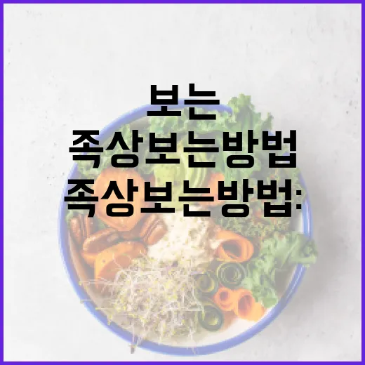 족상 보는 방법: 건강 관리의 첫걸음 - 요약