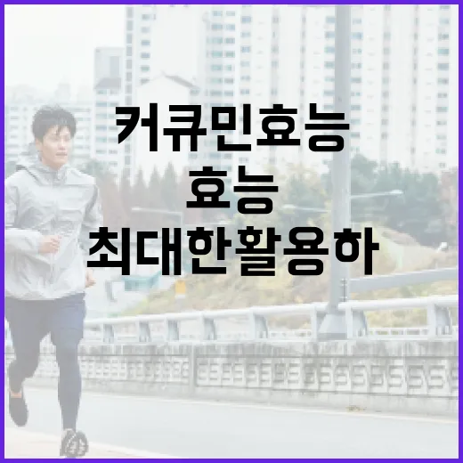 커큐민 효능을 최대한 활용하는 방법 - 요약