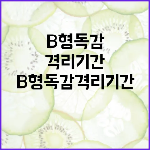 B형 독감 격리 기간을 안전하게 지내는 방법 - 요약
