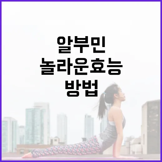 알부민의 놀라운 효능을 알아보는 방법 - 요약