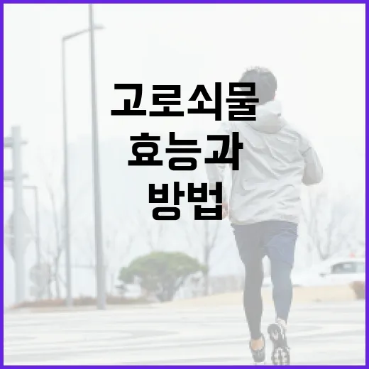 고로쇠물의 효능과 섭취 방법 - 요약