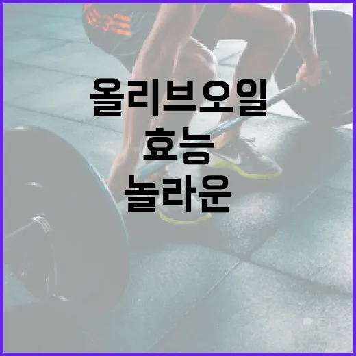 올리브오일의 놀라운 효능을 제대로 이해하는 방법 - 요약