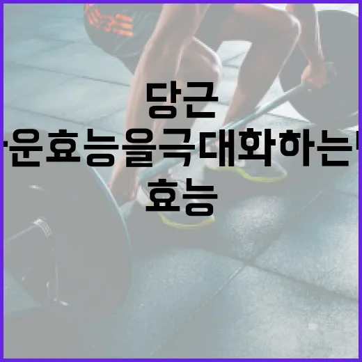 당근의 놀라운 효능을 극대화하는 방법 - 요약