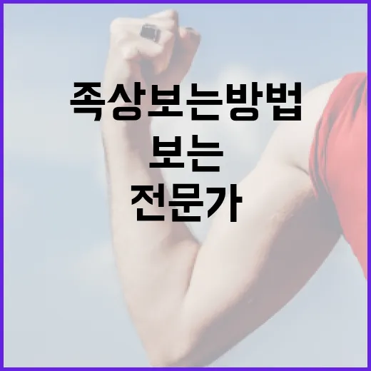 전문가처럼 족상 보는 방법 - 요약