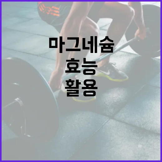 마그네슘의 효능을 최대한 활용하는 방법 - 요약