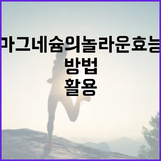 마그네슘의 놀라운 효능을 최대한 활용하는 방법 - 요약