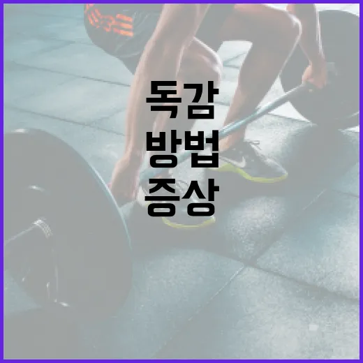 독감 증상을 효과적으로 관리하는 방법 - 요약