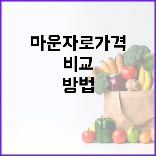 마운자로 가격을 현명하게 비교하는 방법 - 요약