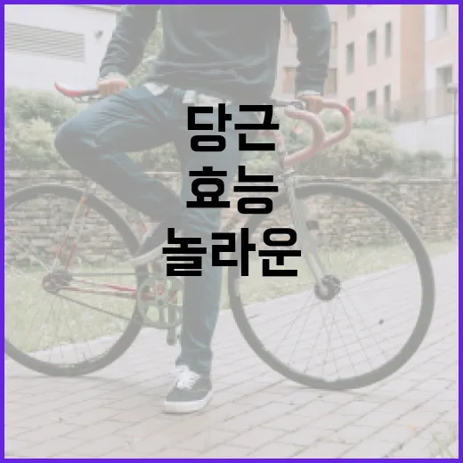 당근의 놀라운 효능을 최대한 활용하는 방법 - 요약